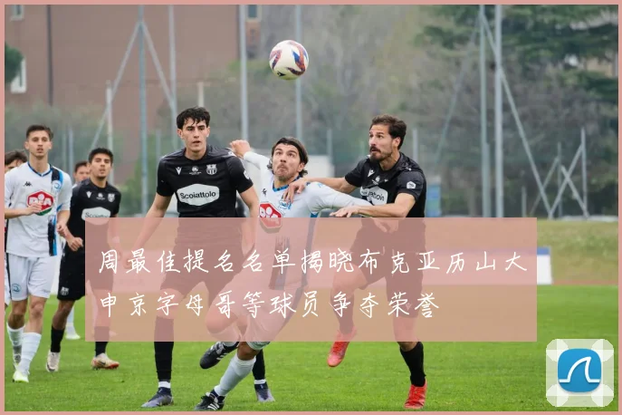 周最佳提名名单揭晓布克亚历山大申京字母哥等球员争夺荣誉