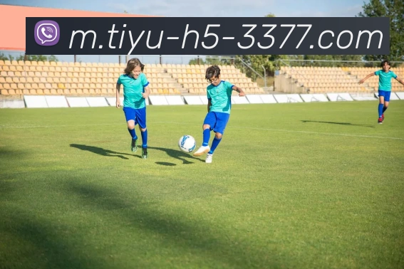 3377体育发展历程